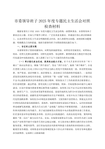 市委领导班子2026年度专题民主生活会对照检查材料