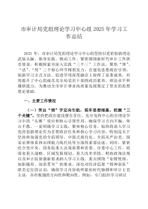 市审计局党组理论学习中心组2026年学习工作总结
