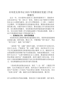 市局党支部书记2026年度抓基层党建工作述职报告