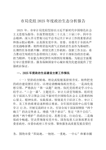 市局党组2026年度政治生态分析报告