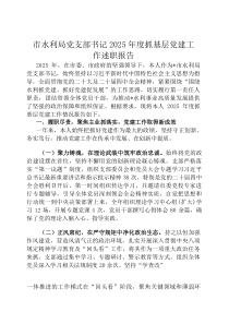 市水利局党支部书记2026年度抓基层党建工作述职报告