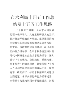 市水利局十四五工作总结及十五五工作思路