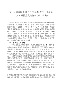 市生态环境局党组书记2026年度民主生活会个人对照检查发言提纲（五个带头）