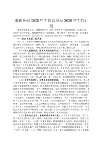 市税务局2026年工作总结及2026年工作计划