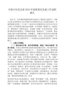 市统计局党支部2026年度抓基层党建工作述职报告