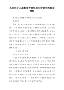 支部班子主题教育专题组织生活会对照检查材料