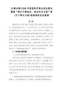 （8例优）2026年度组织开展生活会重点围绕“带头干事创业、担当作为方面”等（五个带头方面）检视剖