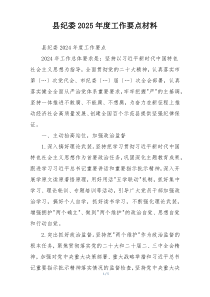 县纪委2025年度工作要点材料