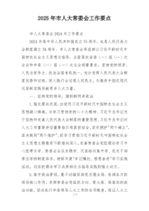 2025年市人大常委会工作要点