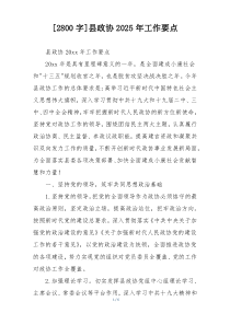[2800字]县政协2025年工作要点