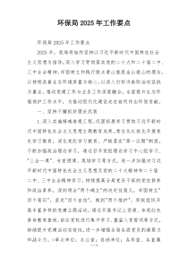 环保局2025年工作要点