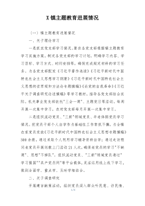 X镇主题教育进展情况