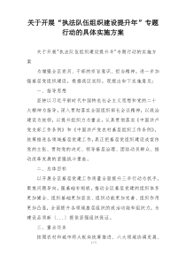 关于开展“执法队伍组织建设提升年”专题行动的具体实施方案