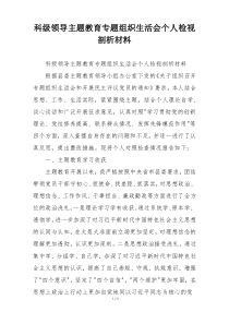 科级领导主题教育专题组织生活会个人检视剖析材料