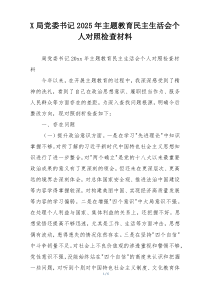 X局党委书记2025年主题教育民主生活会个人对照检查材料