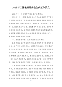 2025年X区教育局安全生产工作要点