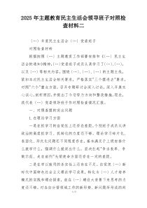 2025年主题教育民主生活会领导班子对照检查材料二