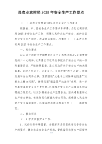 县农业农村局2025年安全生产工作要点