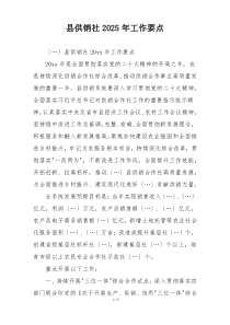 县供销社2025年工作要点