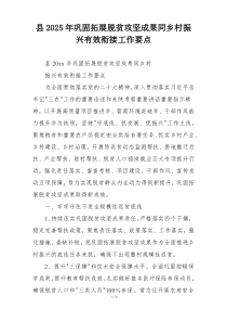 县2025年巩固拓展脱贫攻坚成果同乡村振兴有效衔接工作要点