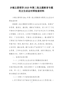 乡镇主要领导2025年第二批主题教育专题民主生活会对照检查材料