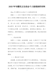 2025年专题民主生活会个人检视剖析材料