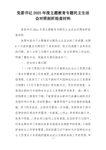党委书记2025年度主题教育专题民主生活会对照剖析检查材料