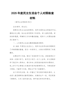 2026年度民主生活会个人对照检查材料7