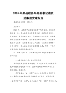 2026年某县税务局党委书记述责述廉述党建报告2