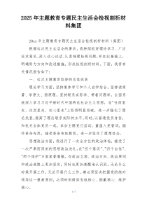 2025年主题教育专题民主生活会检视剖析材料集团