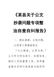 《某县关于公文抄袭问题专项整治自查自纠报告》
