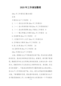 2025年工作谋划整理