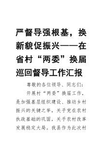 严督导强根基，换新貌促振兴——在省村“两委”换届巡回督导工作汇报
