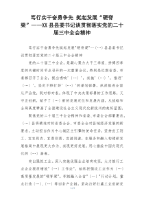 笃行实干奋勇争先 挺起发展“硬脊梁”——XX县县委书记谈贯彻落实党的二十届三中全会精神