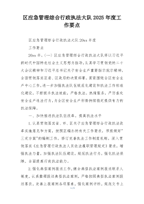 区应急管理综合行政执法大队2025年度工作要点