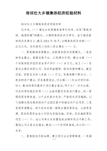 培训壮大乡镇集体经济经验材料