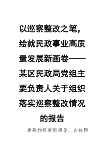 以巡察整改之笔，绘就民政事业高质量发展新画卷——某区民政局党组主要负责人关于组织落实巡察整改情况的报