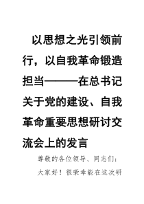 以思想之光引领前行，以自我革命锻造担当——在总书记关于党的建设、自我革命重要思想研讨交流会上的发言