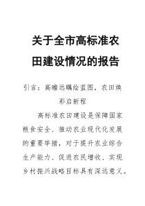 关于全市高标准农田建设情况的报告