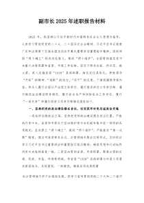 副市长2026年述职报告材料