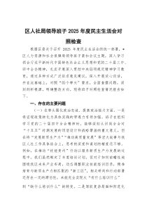 区人社局领导班子2026年度民主生活会对照检查