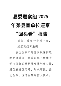 县委巡察组2026年某县直单位巡察“回头看”报告