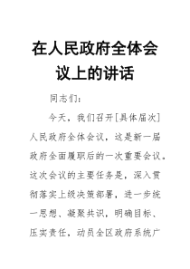 在人民政府全体会议上的讲话