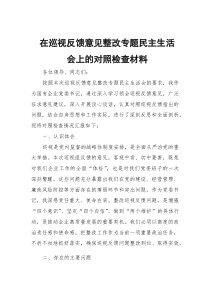 在巡视反馈意见整改专题民主生活会上的对照检查材料