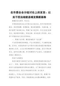 在市委全会分组讨论上的发言：以实干担当绘就县域发展新画卷