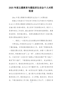 2025年度主题教育专题组织生活会个人对照检查