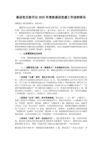 基层党支部书记2026年度抓基层党建工作述职报告