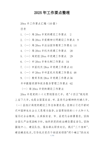 2025年工作要点整理