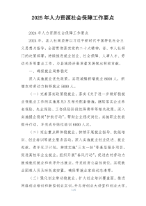 2025年人力资源社会保障工作要点