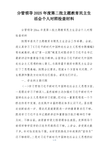 分管领导2025年度第二批主题教育民主生活会个人对照检查材料